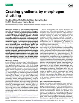 Creating Gradients by Morphogen Shuttling