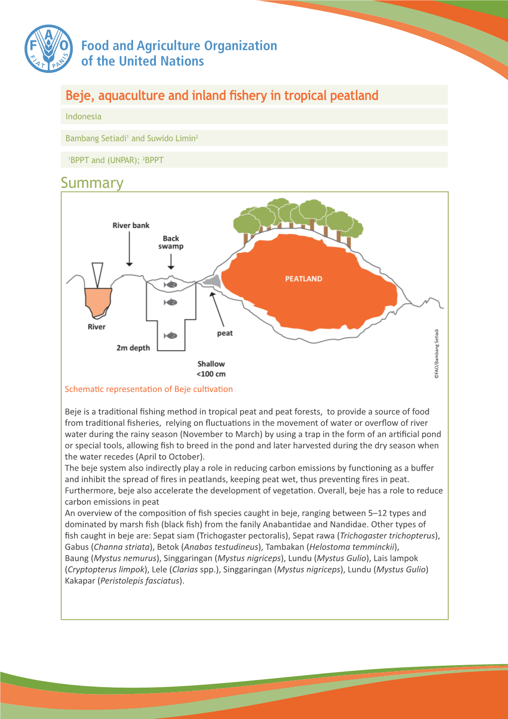 Beje, Aquaculture and Inland Fishery in Tropical Peatland