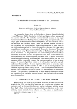 The Modifiable Neuronal Network of the Cerebellum