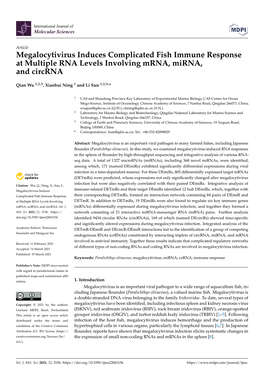 Megalocytivirus Induces Complicated Fish Immune Response at Multiple RNA Levels Involving Mrna, Mirna, and Circrna