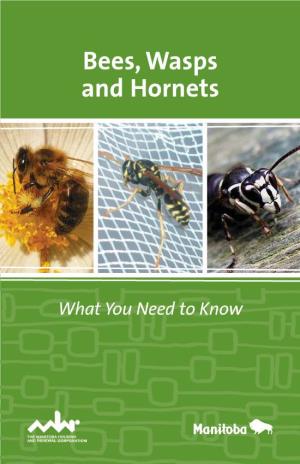 Bees, Wasps and Hornets