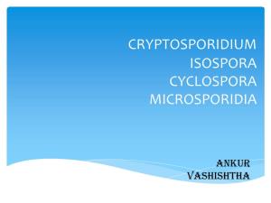 Cryptosporidium Isospora Cyclospora Microsporidia