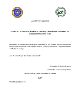 Lívia Oliveira Loureiro Universidade Federal De Minas Gerais 2014