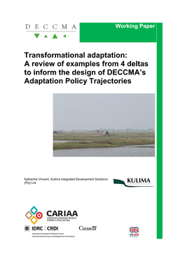 Transformational Adaptation: a Review of Examples from 4 Deltas to Inform the Design of DECCMA's Adaptation Policy Trajectorie