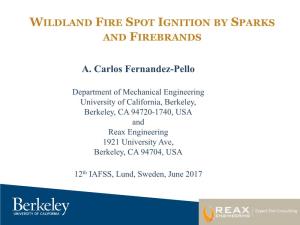 Plenary-Wildland Fire Spot Ignition