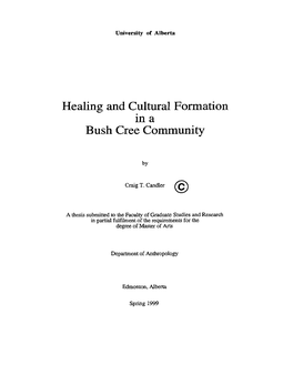 Healing and Cultural Formation Bush Cree Comrnunity
