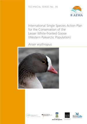 Anser Erythropus Agreement on the Conservation of African-Eurasian Migratory Waterbirds (AEWA)