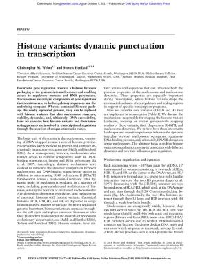 Histone Variants: Dynamic Punctuation in Transcription