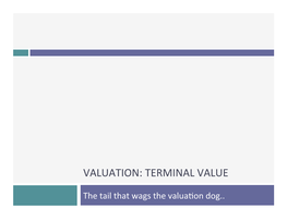 Valuation: Terminal Value