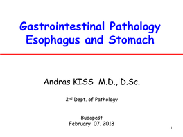 Gastrointestinal Pathology Esophagus and Stomach