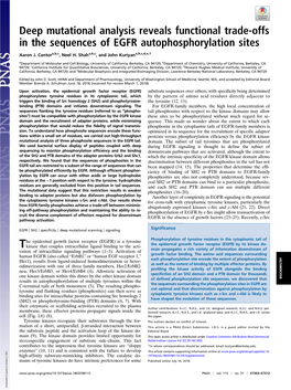 Deep Mutational Analysis Reveals Functional Trade-Offs in the Sequences of EGFR Autophosphorylation Sites