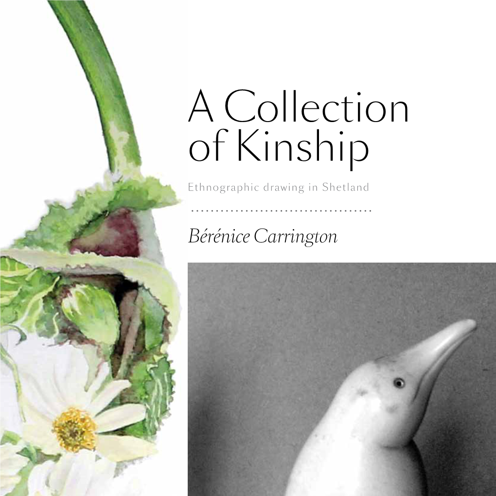 A Collection of Kinship