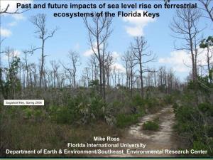 Sea Level Rise Impacts in the Florida Keys