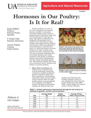 Hormones in Our Poultry: Is It for Real?