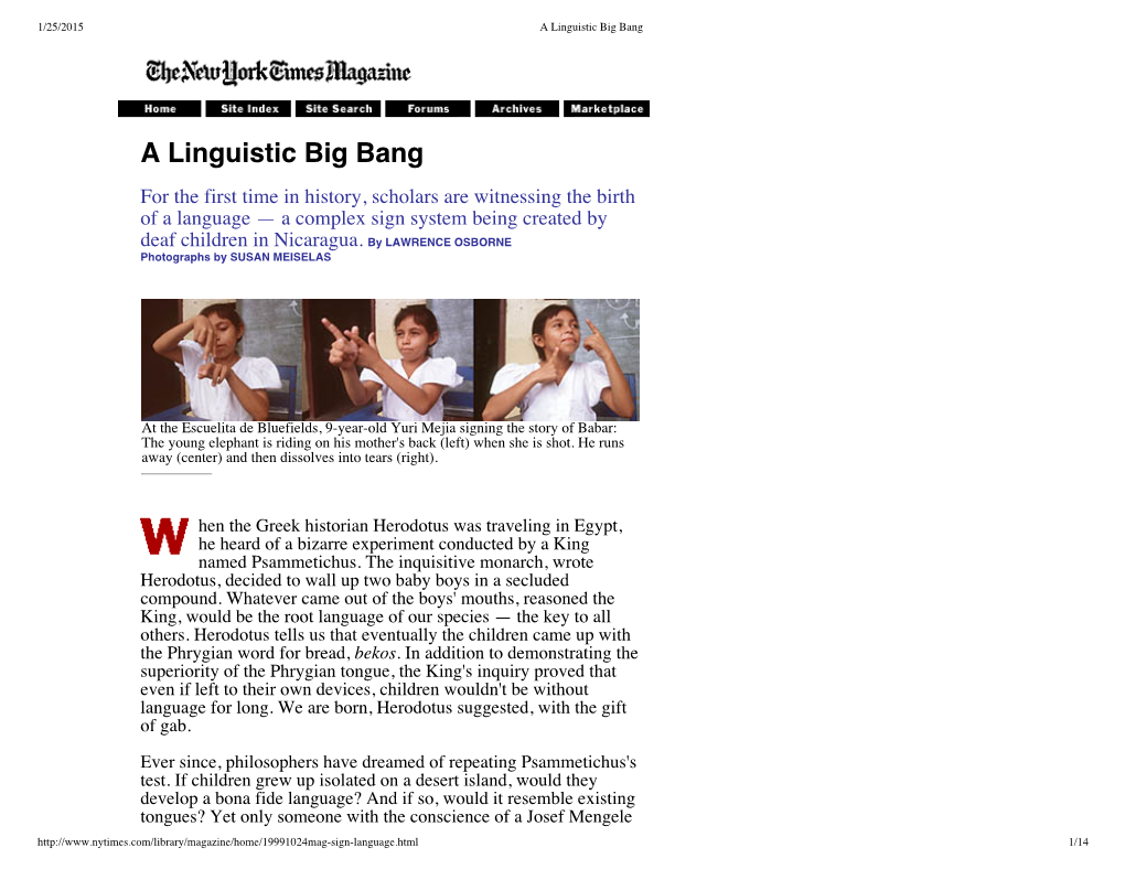 A Linguistic Big Bang