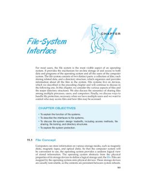 File-System Interface