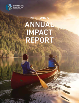 Annual Impact Report 2020