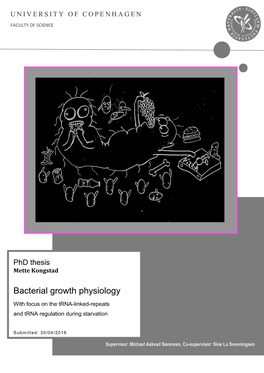 E.Coli Physiology and Functional Rnas