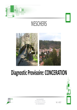 NESCHERS Diagnostic Provisoire: CONCERATION