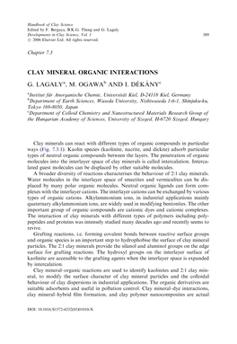 CLAY MINERAL ORGANIC INTERACTIONS G. Lagalya, M