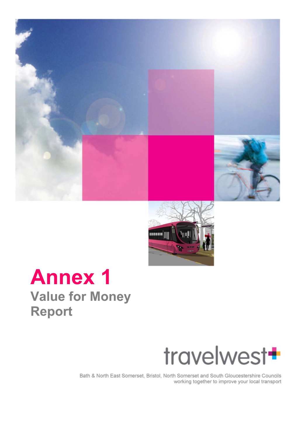 Annex 1 Value for Money Report