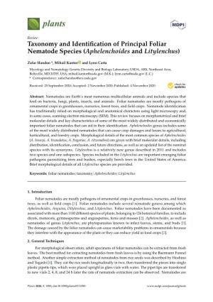 Taxonomy and Identification of Principal Foliar Nematode Species (Aphelenchoides and Litylenchus)
