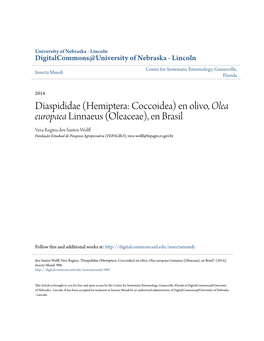 Diaspididae (Hemiptera: Coccoidea) En Olivo, &lt;I&gt;Olea Europaea&lt;/I&gt;