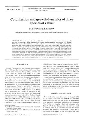 Colonization and Growth Dynamics of Three Species of Fucus
