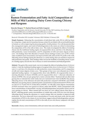 Rumen Fermentation and Fatty Acid Composition of Milk of Mid Lactating Dairy Cows Grazing Chicory and Ryegrass