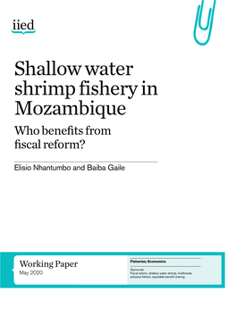 Shallow Water Shrimp Fishery in Mozambique Who Benefits from Fiscal Reform?