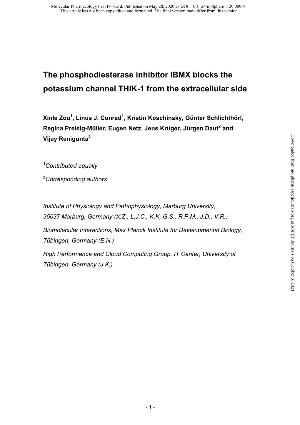 The Phosphodiesterase Inhibitor IBMX Blocks the Potassium Channel THIK-1 from the Extracellular Side