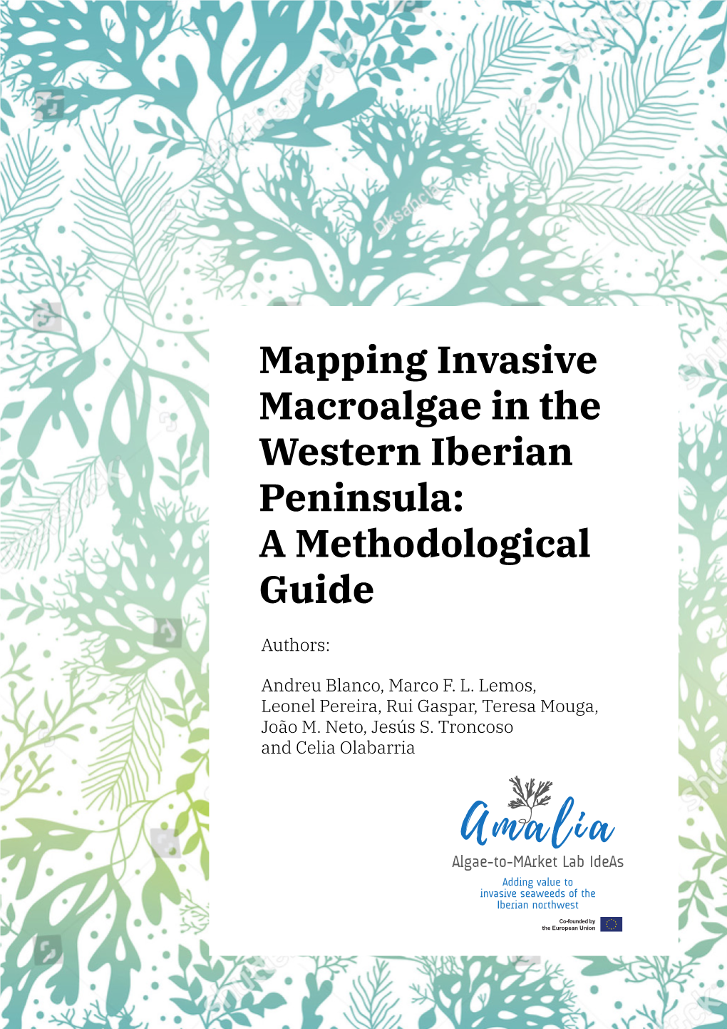 Mapping Invasive Macroalgae in the Western Iberian Peninsula: a Methodological Guide