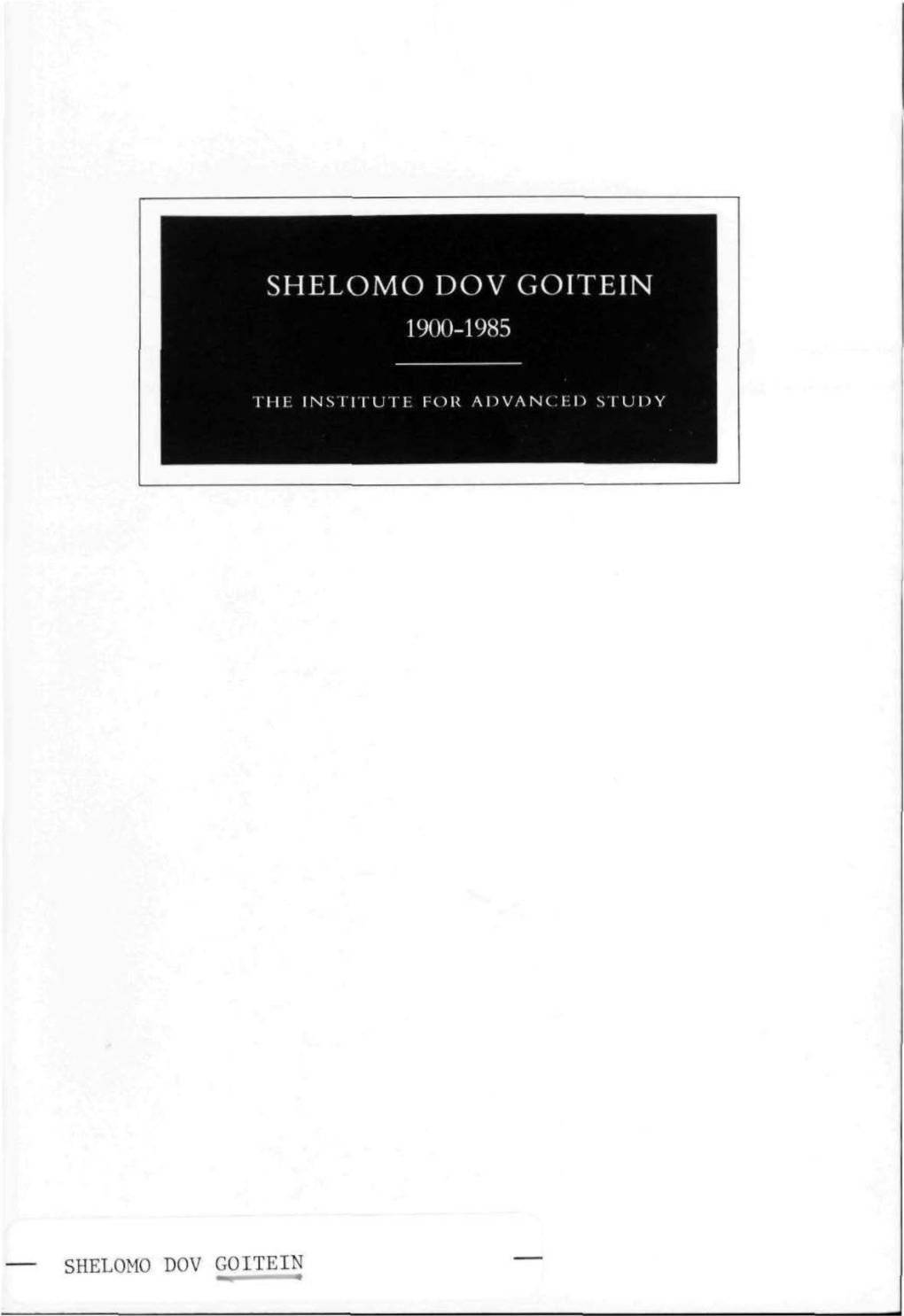 Shelomo Dov Goitein