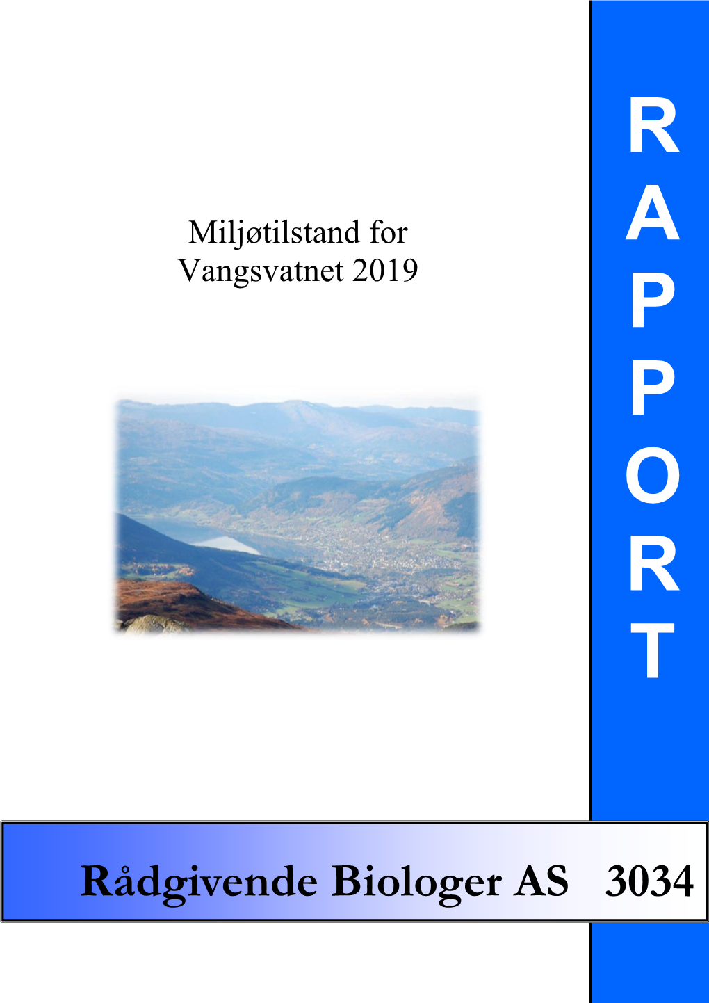 Miljøtilstand for Vangsvatnet 2019