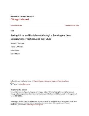 Seeing Crime and Punishment Through a Sociological Lens: Contributions, Practices, and the Future
