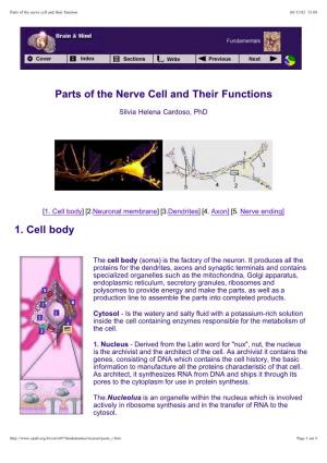 Parts of the Nerve Cell and Their Functions 1. Cell Body