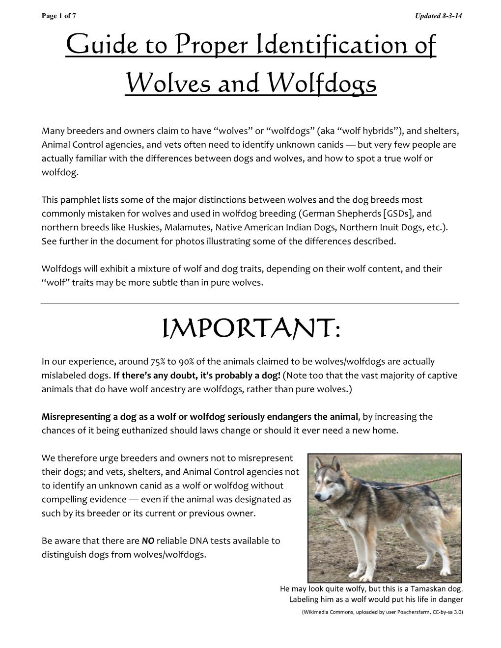 Guide to Proper Identification of Wolves and Wolfdogs