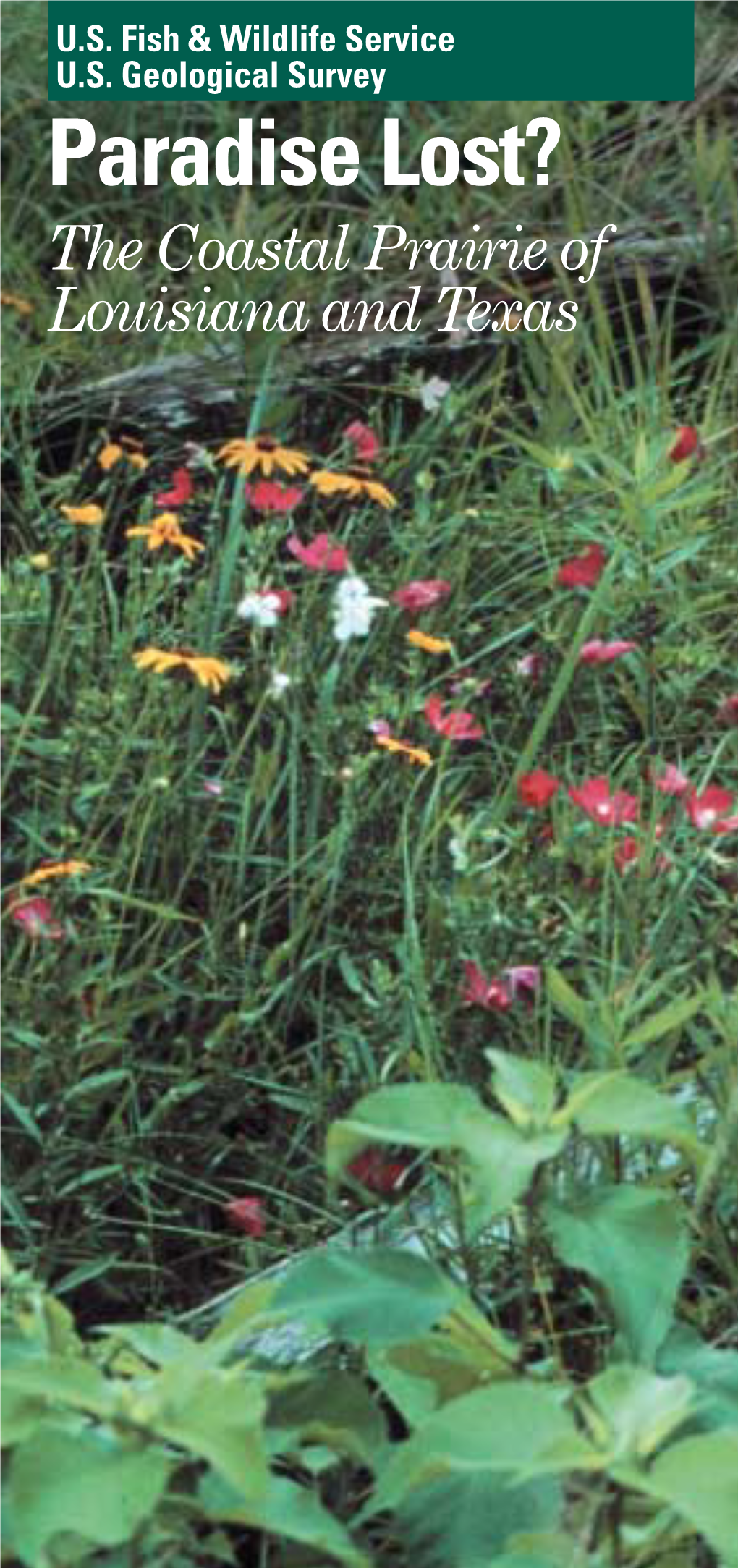 Paradise Lost? the Coastal Prairie of Louisiana and Texas