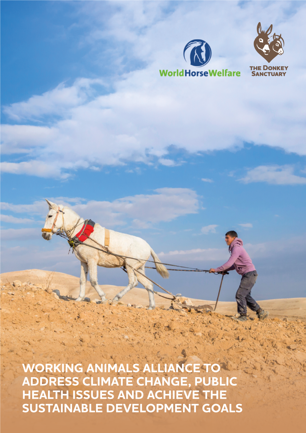 Working Animals Alliance Concept Note