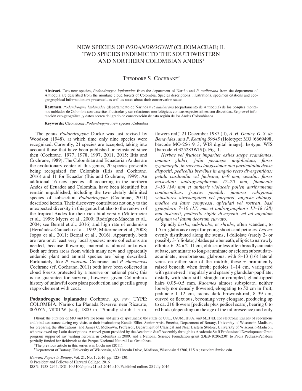 New Species of Podandrogyne (Cleomaceae) Ii. Two Species Endemic to the Southwestern and Northern Colombian Andes1