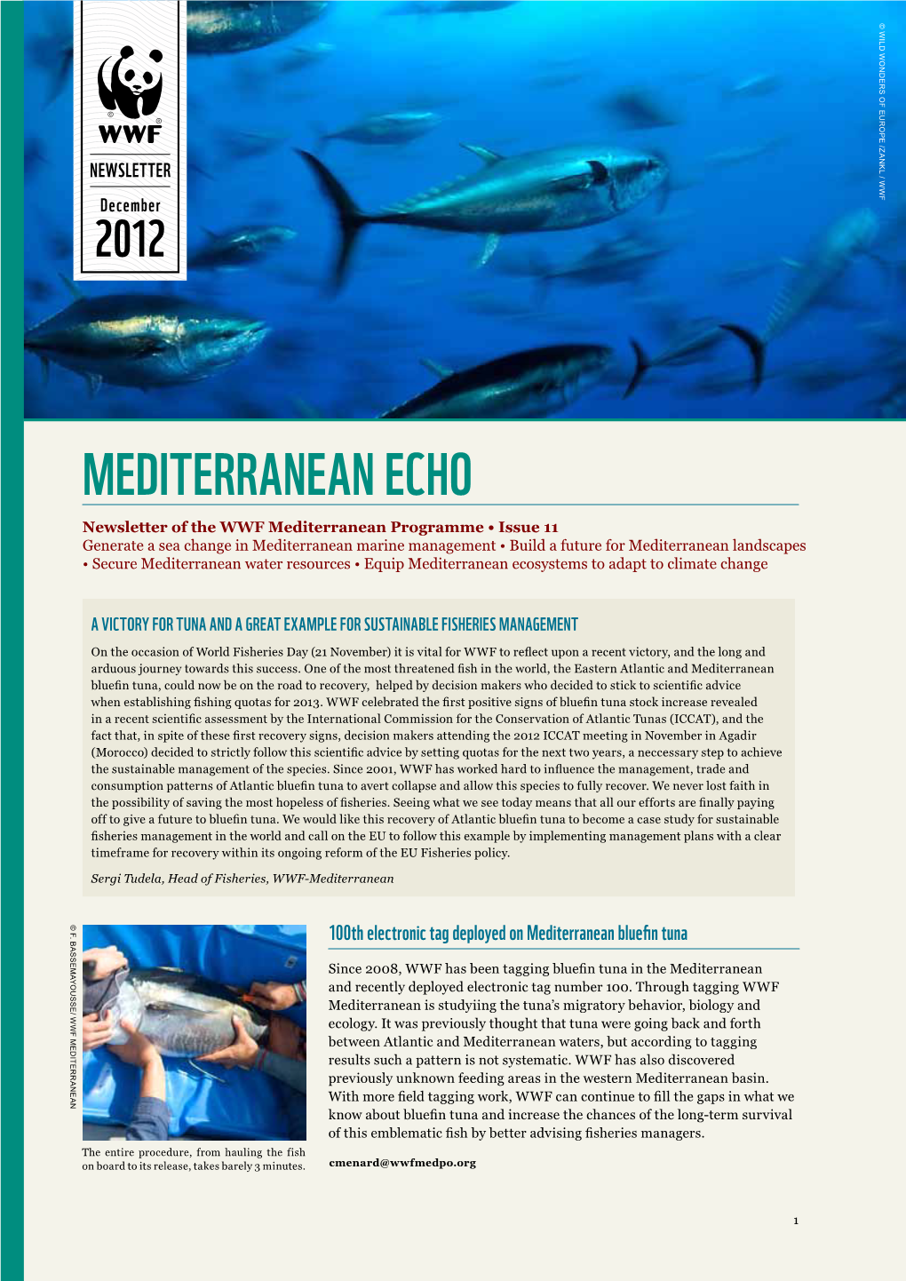 Mediterranean Echo