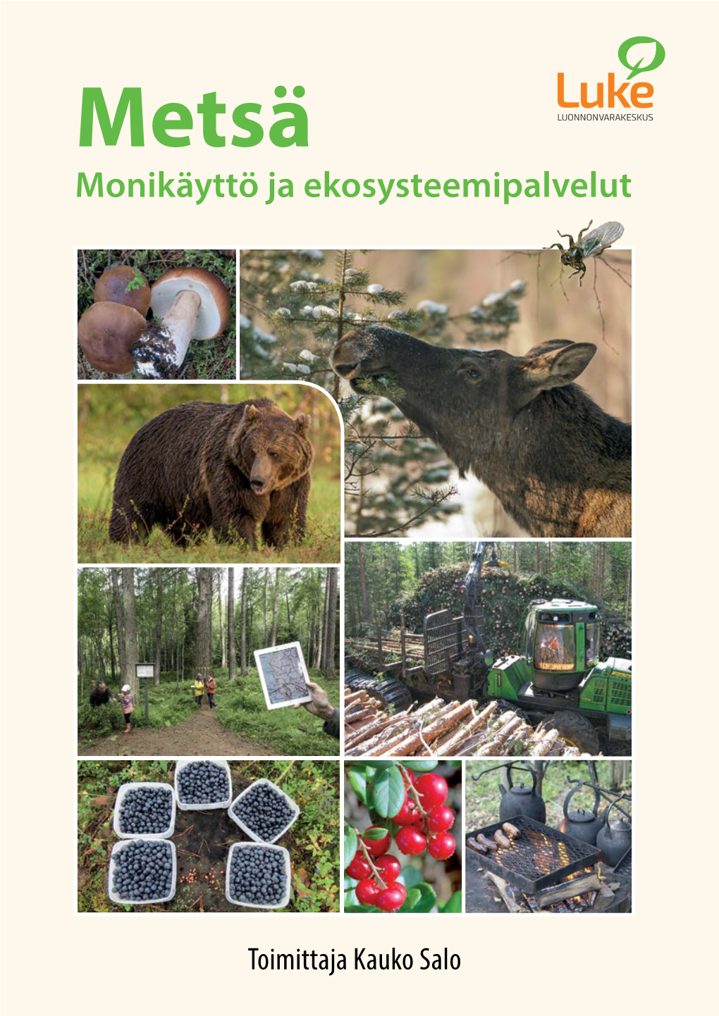 Monikäyttö Ja Ekosysteemipalvelut on Kattava Tietokirja Metsän Merkityksestä Jokaiselle Suomalaiselle