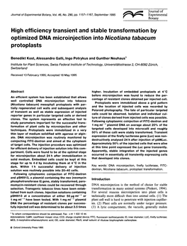 High Efficiency Transient and Stable Transformation by Optimized DNA Microinjection Into Nicotiana Tabacum Protoplasts