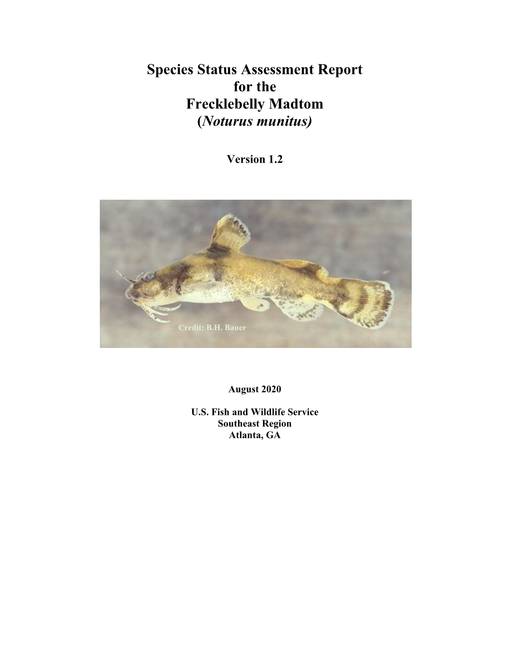 Species Status Assessment Report for the Frecklebelly Madtom (Noturus Munitus)