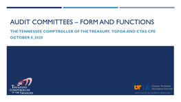 Audit Committees – Form and Functions