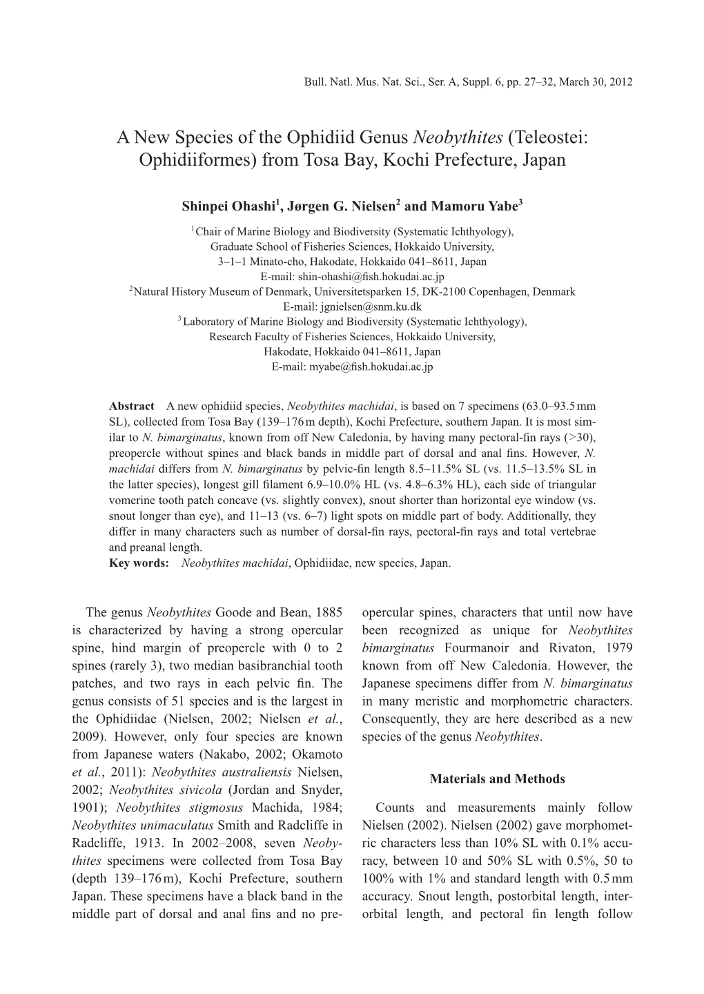 A New Species of the Ophidiid Genus Neobythites (Teleostei: Ophidiiformes) from Tosa Bay, Kochi Prefecture, Japan