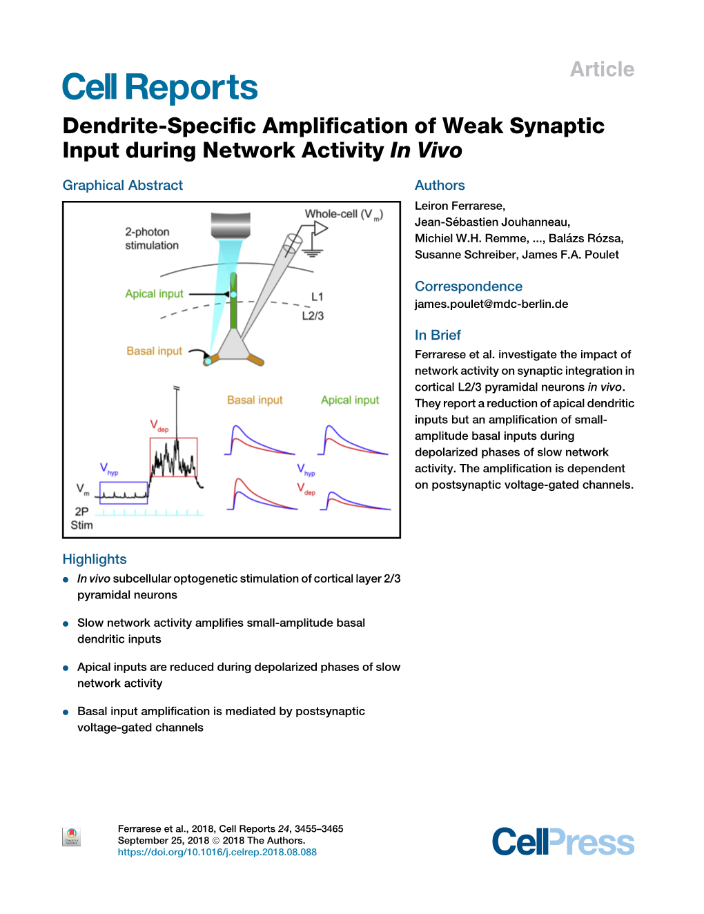 Dendrite-Specific Amplification of Weak Synaptic Input During