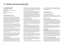 13. Newtyle Landscape Capacity Study