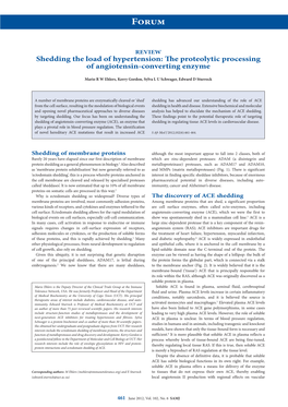 The Proteolytic Processing of Angiotensin-Converting Enzyme