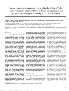 Jurassic Volcanic and Sedimentary Rocks of the La Silla and Todos